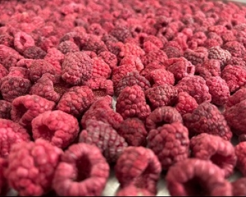 First freeze-dried berry 